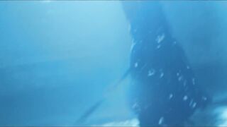 Dua Lipa-'hotter the Hell' Pmv - 15 image