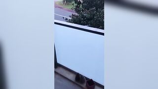 Il baise ma chatte poilue sur le balcon - 7 image
