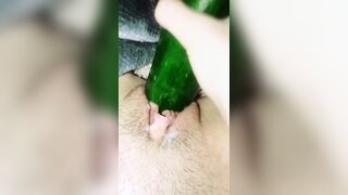 My frist Big Cucumber! - 12 image