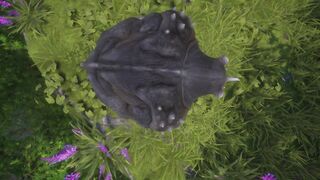 Furry Female Wolf & Rhino Fuck Hard (Some Pee) | Wild Life Furries - 10 image