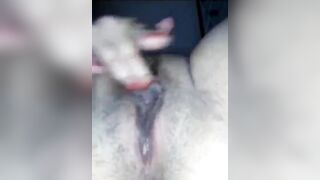 Sola en la cama,esperando..... - 7 image