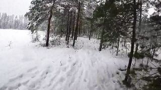 Beauty in the mid of the snow storm - 2 image