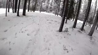 Beauty in the mid of the snow storm - 3 image