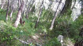4K hiking - group fucking - squirting - double penetration - 12 image