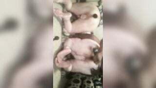 Slave pinky and slave bunny anal training pt3 - 13 image