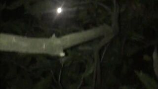 COMPILATION. Pissing IN EXTREME PUBLIC  - 10 image