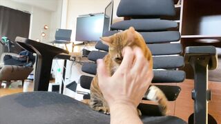 How to play with love to please a Pussy .... Kitty licking happily! - 11 image