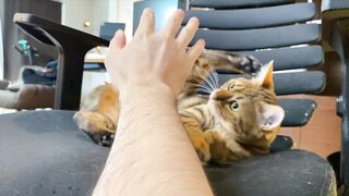 How to play with love to please a Pussy .... Kitty licking happily! - 14 image