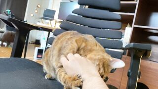 How to play with love to please a Pussy .... Kitty licking happily! - 6 image