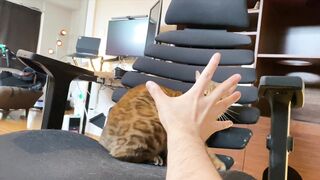 How to play with love to please a Pussy .... Kitty licking happily! - 9 image