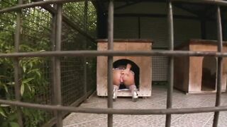 Clarissa EURO Anal David Perry, Ian Scott outdoor, costumes, stockings, swallow bitch hardcore double penetration Short - 2 image