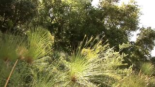 Schwarze Milf squirtet kurz nach dem Crampie - 1 image