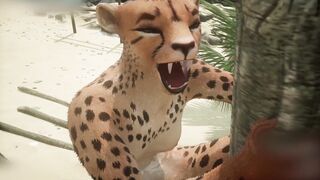 Wildlife Furry Porn (Zuri_Max) - 8 image