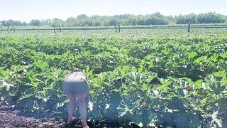 A slender brunette saw a field in which large zucchini grow, she was not at a loss and plucked a few pieces - 12 image