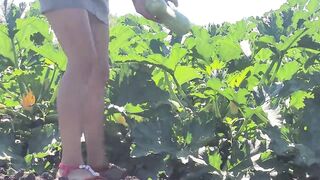A slender brunette saw a field in which large zucchini grow, she was not at a loss and plucked a few pieces - 4 image
