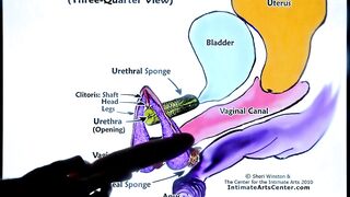 SQUIRTING TUTORIAL 2 !!! Mr PussyLicking - 5 image