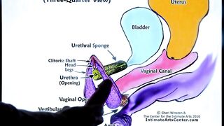 SQUIRTING TUTORIAL 2 !!! Mr PussyLicking - 7 image