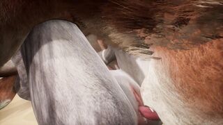 Two wolves play with each other on the beach - Wildlife - 11 image