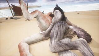 Two wolves play with each other on the beach - Wildlife - 15 image