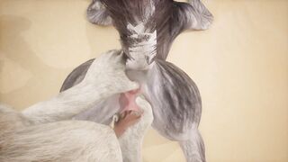 Two wolves play with each other on the beach - Wildlife - 6 image