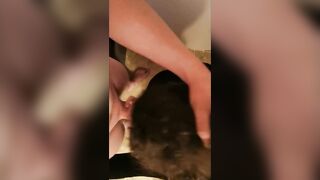 My wife desires my cock, sucks, fucks and ends up squirt