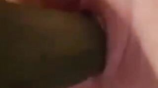 Amateur working her succulent pussy with cucumber - 8 image