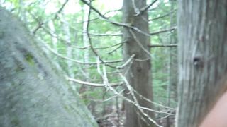 Creampie in the Forest (Full Version ) - 2 image