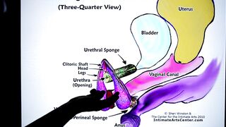 HOW TO SQUIRT ?! Explained FAST !!! Mr PussyLicking - 7 image