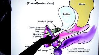 HOW TO SQUIRT ?! Explained FAST !!! Mr PussyLicking - 8 image