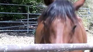 sex on the tractor, in the end pissing so hard from her cunt - 1 image