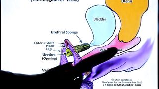 SQUIRTING TUTORIAL #2 - How to Make Girl SQUIRT? - 5 image