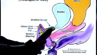 SQUIRTING TUTORIAL #2 - How to Make Girl SQUIRT? - 6 image