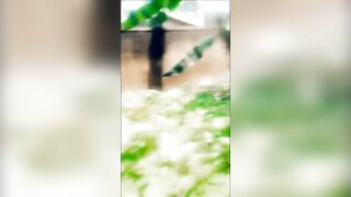 Slutty Outdoor Masturbation - 11 image