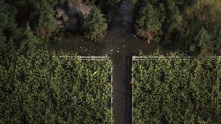 Complete Gameplay - The Genesis Order, Part 36 - 4 image