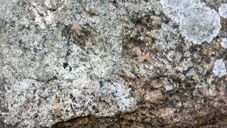 FEMDOM MILF gets squirting orgasm in the Ruins - 4 image