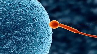 Koumi Jima Shuu 7 De Umeru Mesu-tachi Sex Scenes Demosaic Hentai - 1 image