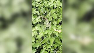 Ghost fucking big sex hot hot hot hot sex fucking videos - 2 image