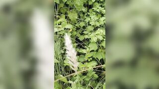 Ghost fucking big sex hot hot hot hot sex fucking videos - 5 image