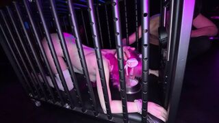 A Inexperienced Bitch Is Fucked in Her Cage