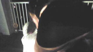 Thick Harley Quinn Squirts All Over Public Stairwell - 10 image