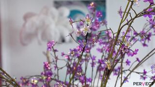 PERVECT Lisa Wildlove bounces on some Italian cock - 1 image