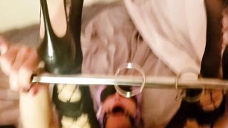 Slut Wife Gets Fucked in Spreader Bar and Cum in Mouth with Ring Gag - 14 image