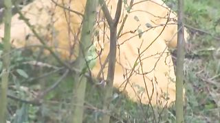 Squirting lesson in classroom - 15 image